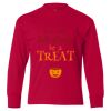 Authentic Cotton Long Sleeve T-Shirt (Youth) Thumbnail