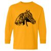  Heavy Cotton™ Long Sleeve T-Shirt (Youth) Thumbnail
