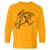  Heavy Cotton™ Long Sleeve T-Shirt (Youth) Thumbnail