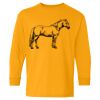  Heavy Cotton™ Long Sleeve T-Shirt (Youth) Thumbnail