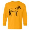  Heavy Cotton™ Long Sleeve T-Shirt (Youth) Thumbnail