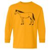  Heavy Cotton™ Long Sleeve T-Shirt (Youth) Thumbnail