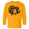  Heavy Cotton™ Long Sleeve T-Shirt (Youth) Thumbnail