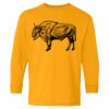  Heavy Cotton™ Long Sleeve T-Shirt (Youth) Thumbnail