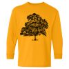  Heavy Cotton™ Long Sleeve T-Shirt (Youth) Thumbnail