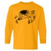  Heavy Cotton™ Long Sleeve T-Shirt (Youth) Thumbnail