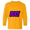  Heavy Cotton™ Long Sleeve T-Shirt (Youth) Thumbnail