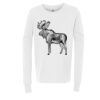 Youth Jersey Cotton Long Sleeve Tee Thumbnail