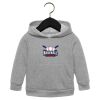 Toddler Sponge Fleece Pullover Hoodie Thumbnail