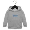 Toddler Sponge Fleece Pullover Hoodie Thumbnail