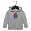 Toddler Sponge Fleece Pullover Hoodie Thumbnail