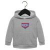 Toddler Sponge Fleece Pullover Hoodie Thumbnail
